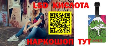 индика Славгород