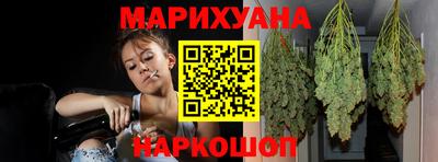 индика Славгород