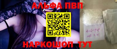 индика Славгород