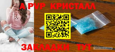 индика Славгород