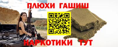 индика Славгород