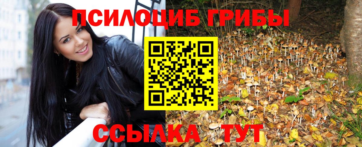 Псилоцибиновые грибы Cubensis Лобня