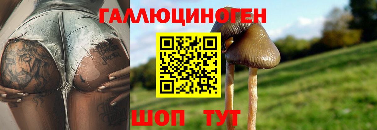 Лобня  наркошоп  Вход с VPN  Псилоцибиновые грибы ЛСД 